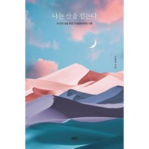 나는 산을 걷는다 : 내 안의 빛을 밝힌 770킬로미터의 기록, 도서
