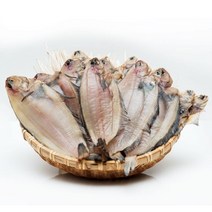 동해안 반건조 가자미(물가자미) 1kg (8-12미), 1개