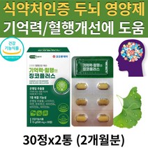(현이) (현이샵) 식약처 인증 혈행엔 징코 은행잎추출물 두뇌 뇌 혈관 건강 기억력 혈행 개선 에 좋은 도움을 주는 플라보놀배당체 영양제 부모님 어르신 선물 추천 GINKGO, 2통