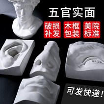 귀 코 얼굴 데이비드 석고상 드로잉 뎃생용 미술입시학원 촬용수품 소묘 연필 그리기 모형 미술 교재, 조각 석고상