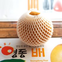 영동새심배농원 영동명품배직송 15kg(특대과 대과 중과)신고배 선물용, 1개, 15kg(대과21~26개)