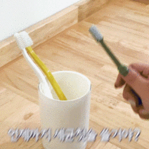 생활백서 uvc led 휴대용 칫솔살균기