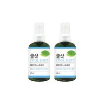 더허브샵 쿨샷 스프레이 페퍼민트향, 100ml, 2개입