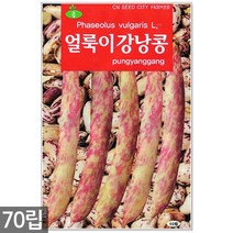 적작두콩 씨앗 10립 - 씨 작두콩씨앗 작두콩씨 작두콩 콩씨앗 콩씨 텃밭 주말농장, 15_얼룩이강낭콩(70립)