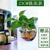 네온테트라 희귀열대어 새우키우기 어항꾸미기 루돌프구피 하프문베타 엔젤피쉬A12, 23CM 직경 거울