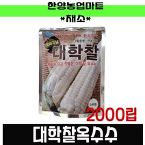 채소-대학찰옥수수 2000립 오리지널 농우바이오 연농1호씨앗 종자, 농우-대학찰옥수수 2000립