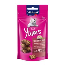 비타크래프트 캣얌 40g 고양이 간식, 1개, 리버소세지