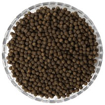 케이웰니스 초록입홍합 환 뉴질랜드 초록잎홍합 환, 1봉, 1kg