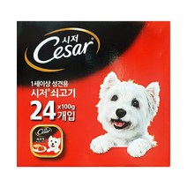 시저 강아지 사료 소고기 100g x 24캔 코스트코 애견