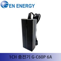 젠에너지 1채널 충전기 G-C60P 6A 정품, 1개