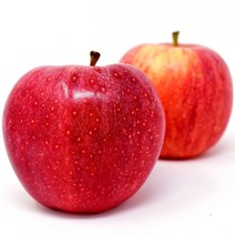 가정용 알뜰 사과 미니사과 꼬마 10kg, 가정용 알뜰 사과 10kg / 꼬마