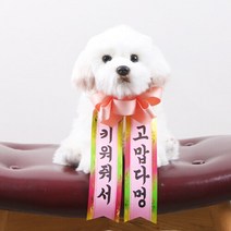 갓샵 인간화환 당일발송ver 소형 [졸업 결혼식 생일 인간 화한 화환 문구]