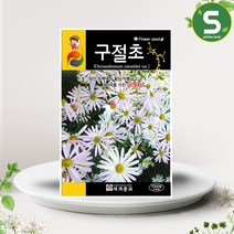 솔림텃밭몰 구절초씨앗 1000립 야생화 꽃씨앗 꽃씨 다년생, 1개