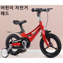 Dream 어린이 멋진 네발자전거 보조바퀴 패션선물 SYKB103, 16인치, 레드