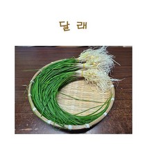 #가락시장 나물이네# 당일경매 달래 200g (달래의지존 서산달래가 갑니다^^)/오후2시이전주문당일출고99%/주말 공휴일제외, 1개