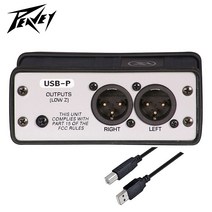 피베이 USB-P USB 다이렉트 박스