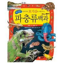 파충류백과(우리아이호기심을키워주는희귀한)-B11(어린이과학백과), 상세페이지 참조