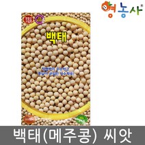 백태 메주콩씨앗 30g, 메주콩