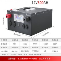 리튬인산철배터리 600ah12v24볼트 캠핑용 배터리 다목적캠핑카 태양광파워뱅크 올인원다기능 대용량, 12V300Ah개