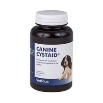 벳플러스 vetplus 캐나인 시스테이드 120캡슐, 단품