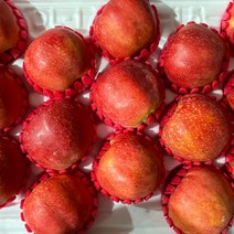 사과 추석 프리미엄 선물세트 홍로 3kg, 홍로프리미엄대과7-8과