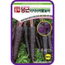 자색당근 씨앗 500립 아시아종묘 아시아퍼플알파 purple carrot seed, 1개