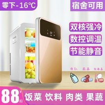 1인용 냉장고 소형냉장고 기숙사대여실 가정용 소형냉장 스킨케어 일회용 미용냉장고 자동차 겸용, [01] 가정용이 아닌 46L 화이트업그레이드.. 차량