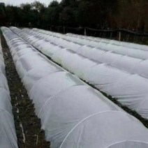 농사용 텃밭 비닐하우스 농막 활대 자재, 솔리드 6mm 길이 3m 20개, 1개