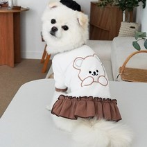 이구사공 강아지옷 큐트 베어 데일리룩, 스커트