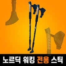 트레킹원 노르딕 워킹 스틱 전용 워킹 스틱, 1개