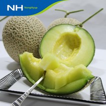 [곡성농협] 국내산 메론 3.5kg 외, 곡성농협 메론 3.5kg(2수), 1박스