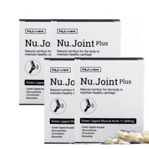 뉴질랜드 뉴와이즈 뉴조인트 플러스 초록입홍합 90캡슐 x4, 4box