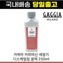 국내 배송 정품 가찌아 디스케일링 용액 세정제 250ml, 1개
