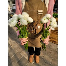 데일리꽃 라넌큘러스 생화 반단 한단 하노이 농장직송