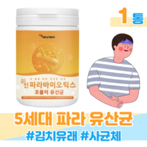 5세대 유산균 프로 바이오틱스 신 파라 바이오틱스 프락토 올리고당 위대한 V133 치커리 비타민 미네랄 유산균 사균체 사균 80대 장년층 노년층 할아버니 할머니 유산균, 1통, 3000mg x 76회 (하루1회)