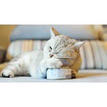 고양이 습식사료 네슬레 퓨리나 팬시피스트 캔(85g), 대구가자미새우 6캔+연어 6캔