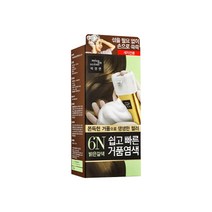 미쟝센 쉽고빠른 크림 & 거품 염색약 새치전용, 1개, 거품 6N밝은갈색