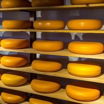 사그담 평창보배목장 자연숙성가우다치즈100g, 단일옵션