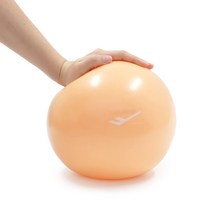 이지홈트 필라테스 요가 25cm 짐볼