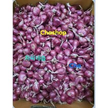 태국산 샬롯 미니양파 빨간색미니양파 살롯, 태국산 살롯 200g ខ្ទឹមក្រហមថៃ