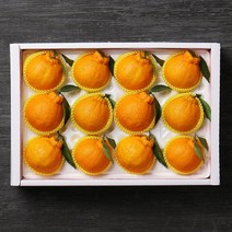 자연속 빛가득 제주한라봉세트 4.5kg16내