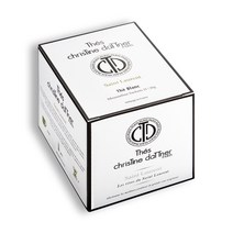 크리스틴 다트너 생 로랑