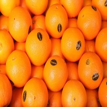 달달농산물 최상급 정품 블랙라벨 퓨어스펙오렌지 썬키스트오렌지 엠팍오렌지, 블랙라벨오렌지 / 중소과 50과