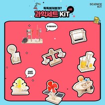 사이언스키트 과학교구키트 테마별 SET 키덜트놀이 홈스쿨링 과학실험세트, 07_과학세트 KIT-1 8종