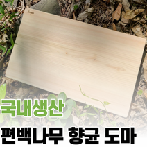 편백나무 도마 주방도마 유절 무절 소형 대형
