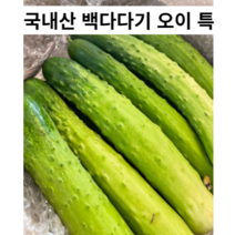 국산 아삭하고 큰 백다다기 오이 특 10개 25개 50게 백다다기오이 백 다다기 국내산 국산오이 특오이 대용량 오이김치