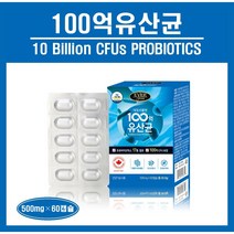 식약처인증 캐나다 100억 유산균 캡슐 정 프로바이오틱스 모유유래 유산균 신바이오틱스 락토바실러스 히알루론산 피쉬콜라겐 생유산균 배변활동 장 건강 온가족 추천 홈쇼핑 데일리플랜, *데일리플랜100억유산균 (500g×60캡슐), 1박스