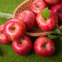 [착한식탁] 가정용 홍로 사과 5kg 꼬마소과, 1개, 상세 설명 참조