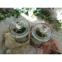 테라리움 선물세트 DIY/ 선물 패키지 테라리움 키트/ 가족 커플 테라리움, 여(학생), 여(학생)