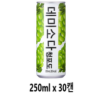 데미소다 청포도 250mlx30캔x2박스, 30개 1박스, 250ml